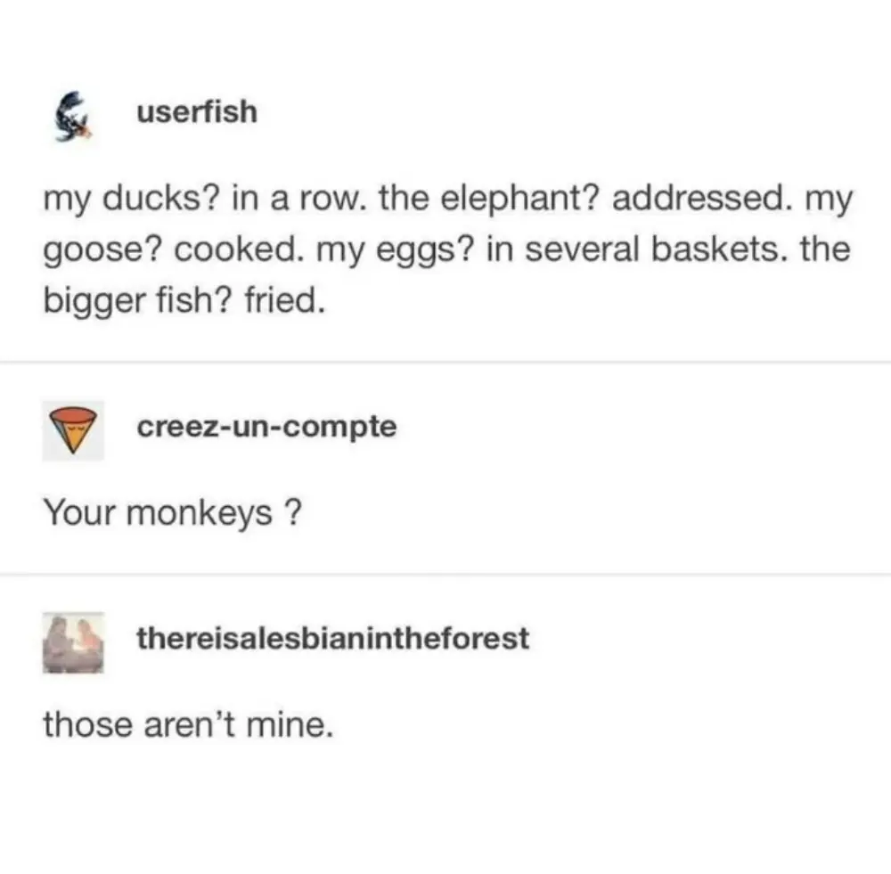 not my circus, not my monkeys implies you have your own circus